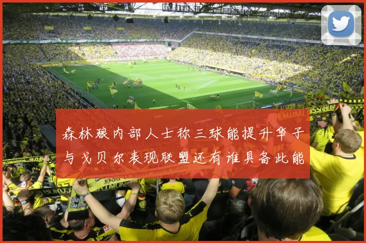 森林狼内部人士称三球能提升华子与戈贝尔表现联盟还有谁具备此能力